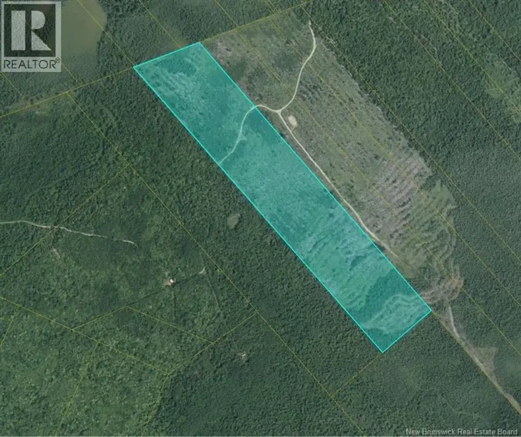 00 Woodland E Pt Gt 56 - South Napan Rd 2nd Tier, Glenwood