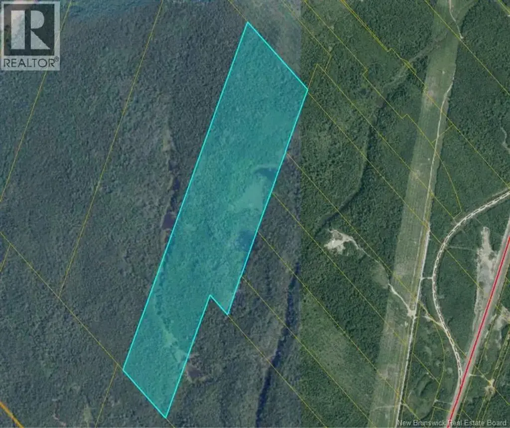 00 Timberland - Off King George Hwy - Miramichi, Newcastle