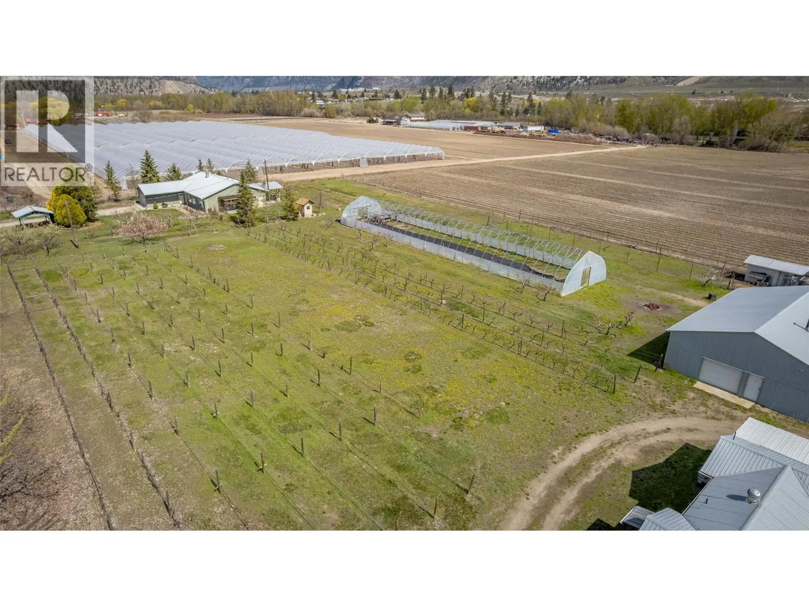 7231 Island Road. Oliver, British Columbia