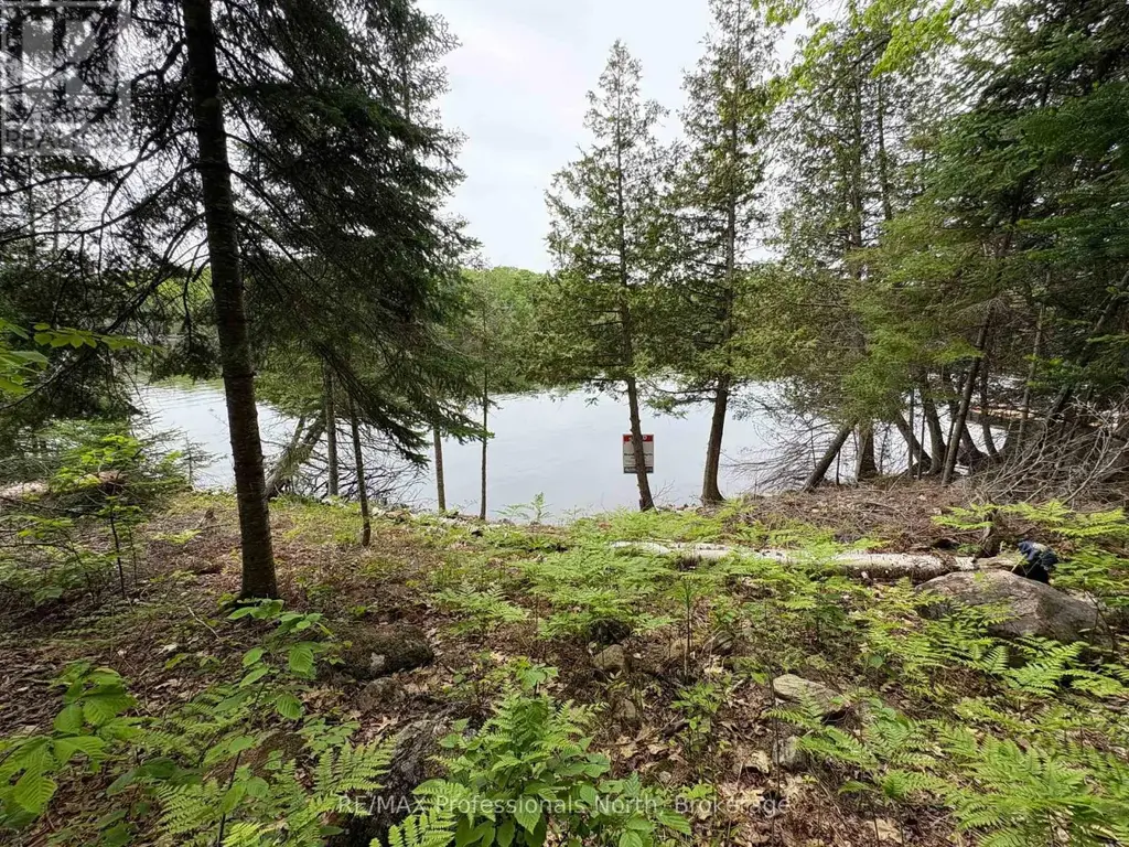 0 Poverty Bay Trail, Minden Hills (Minden)