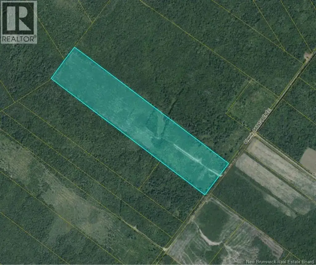 00 Woodlot Chemin Saint-irenee, Saint-Maurice