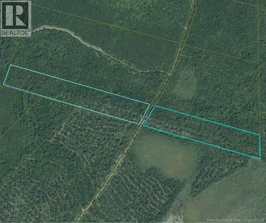 00 Woodlot 99 Chemin Richard - Saint-norbert, Saint-Norbert