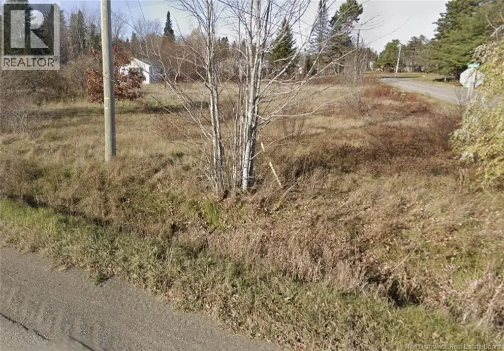 Lot Route 370 Nord, Leech