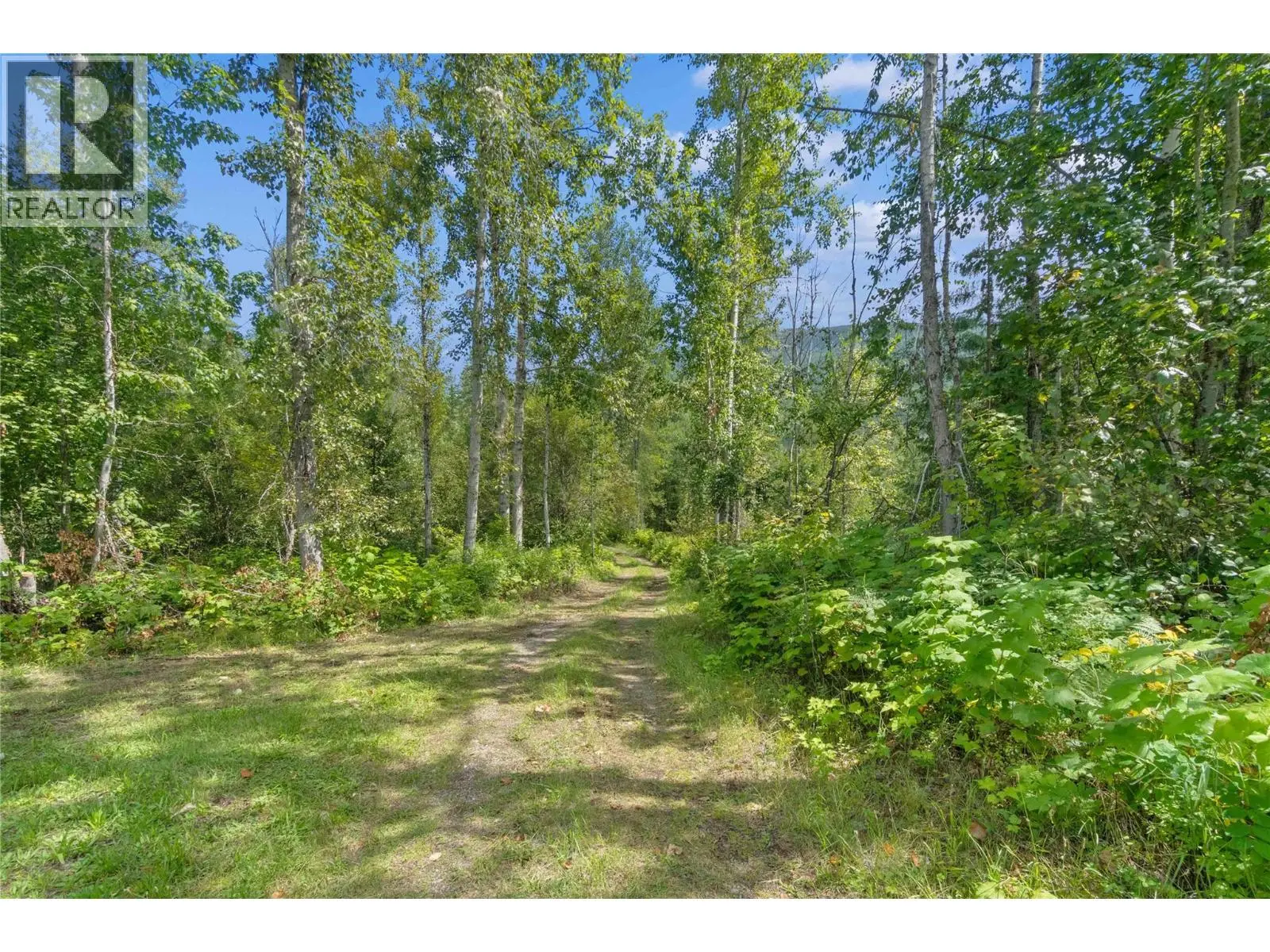 Lot 4 Queest N. Bay. Sicamous, British Columbia