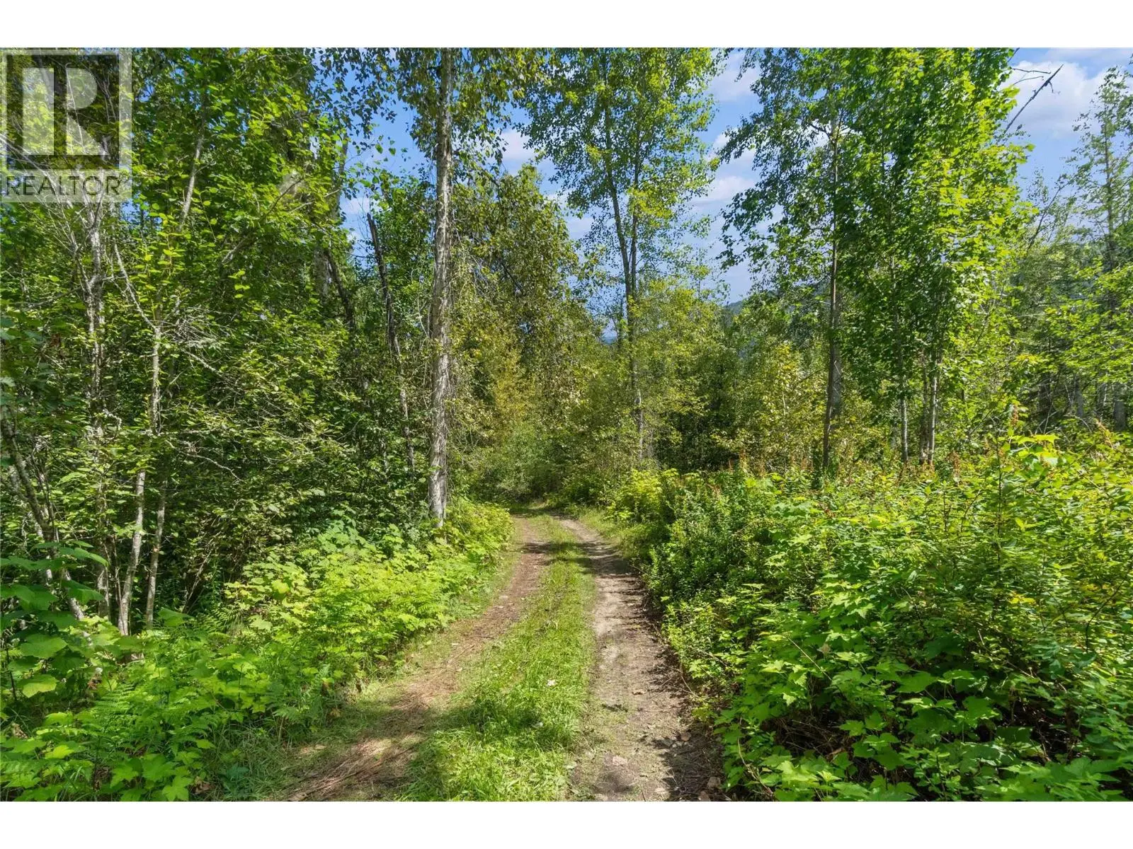 Lot 4 Queest N. Bay. Sicamous, British Columbia