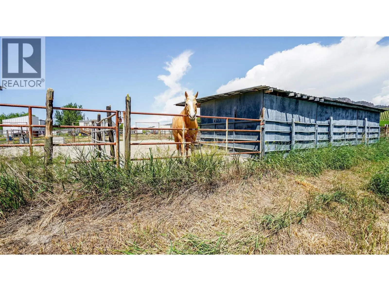 205 Greasewood Avenue. Oliver, British Columbia