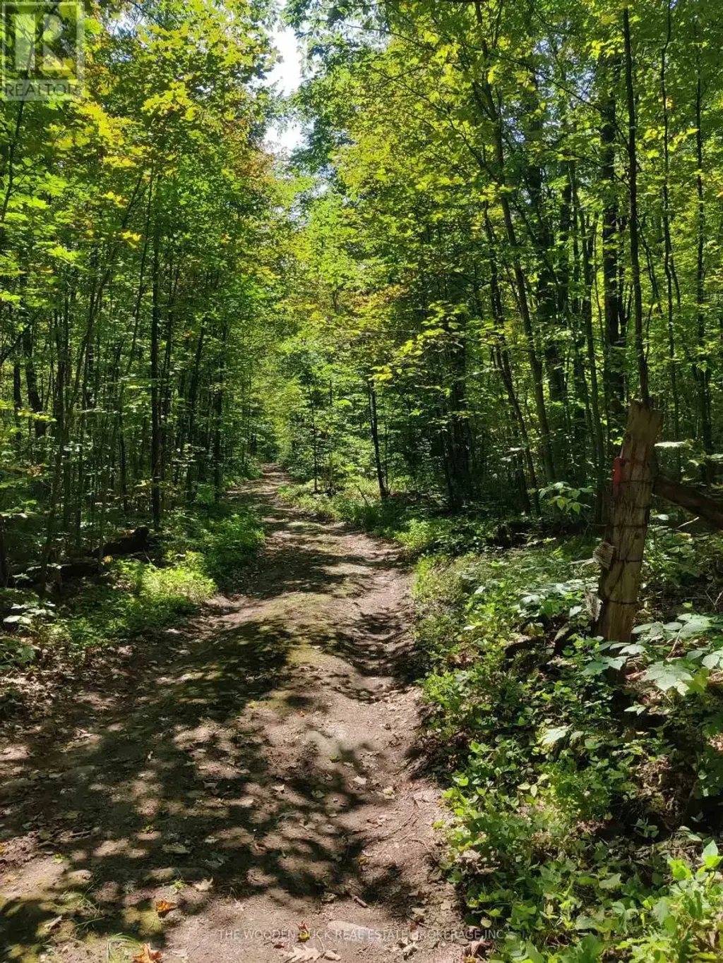0east1 Road Allowance Road, Havelock-Belmont-Methuen (Belmont-Methuen)
