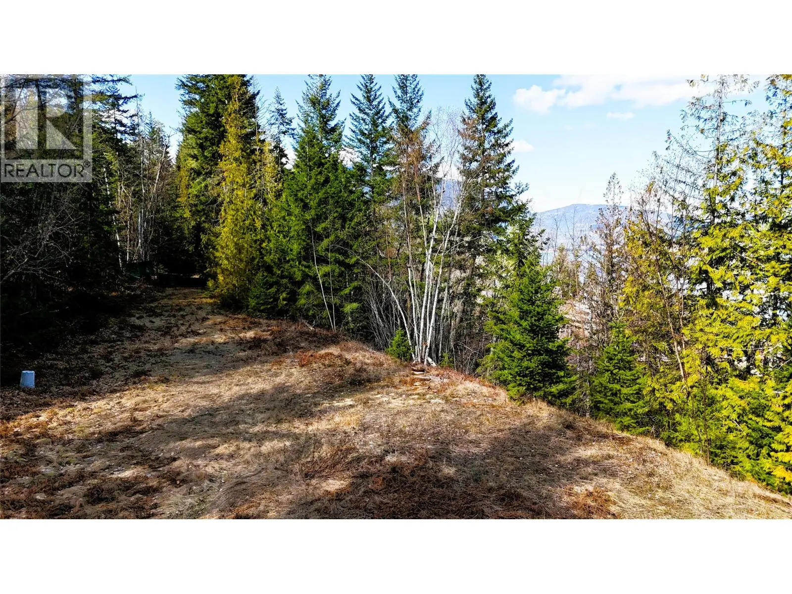 2230 Canoe Beach Drive Ne Lot# 3. Salmon Arm, British Columbia