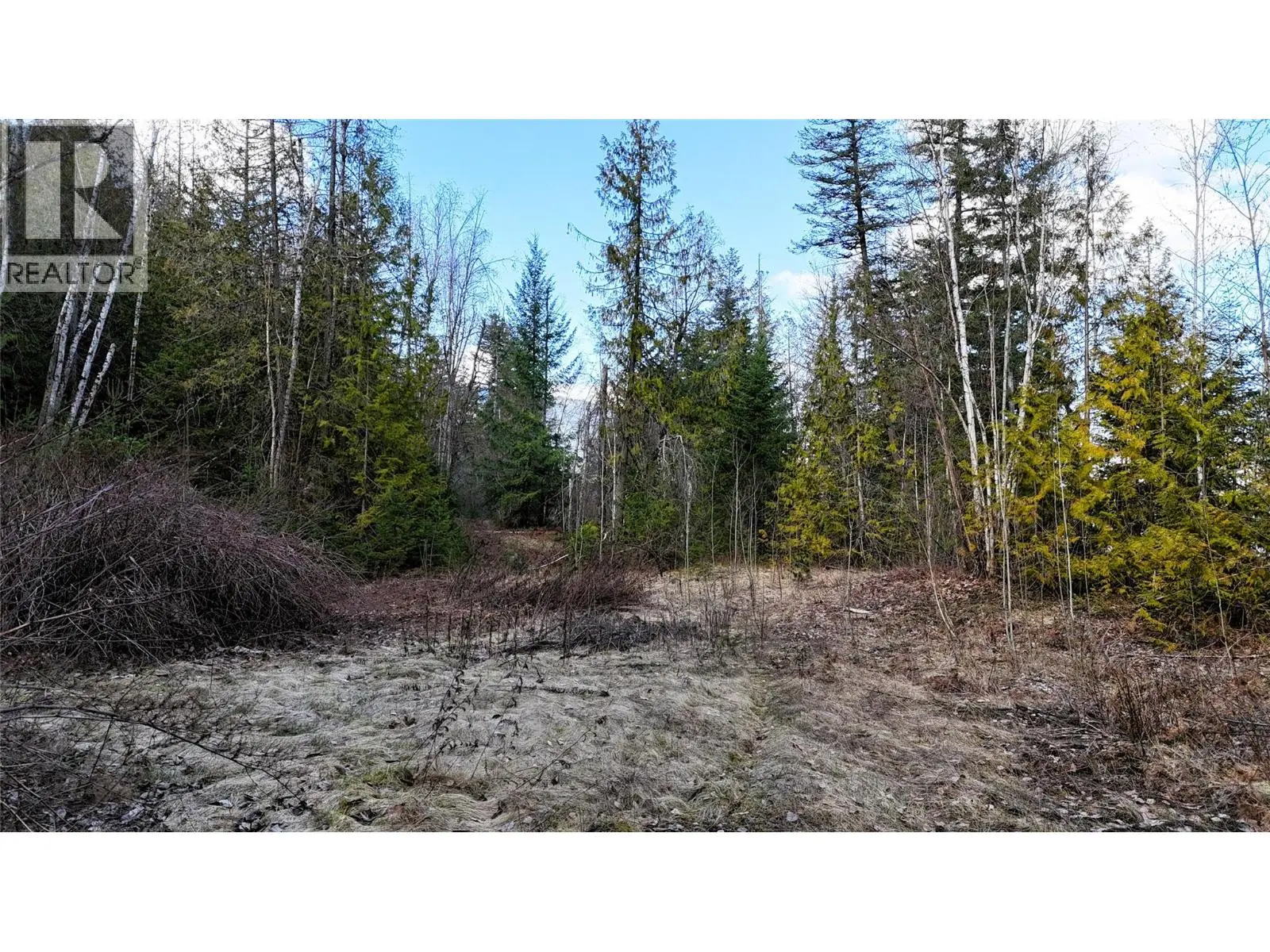 2230 Canoe Beach Drive Ne Lot# 3. Salmon Arm, British Columbia