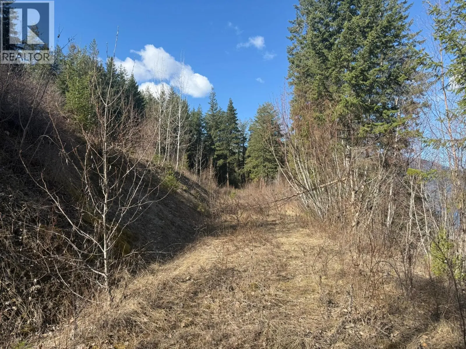 2230 Canoe Beach Drive Ne Lot# 3. Salmon Arm, British Columbia