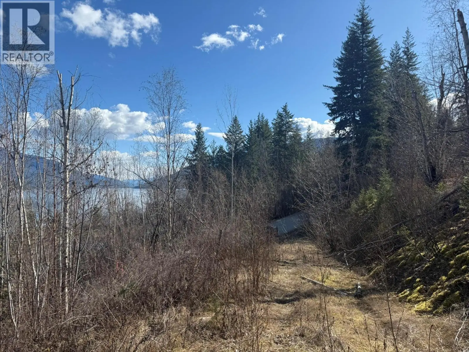 2230 Canoe Beach Drive Ne Lot# 3. Salmon Arm, British Columbia
