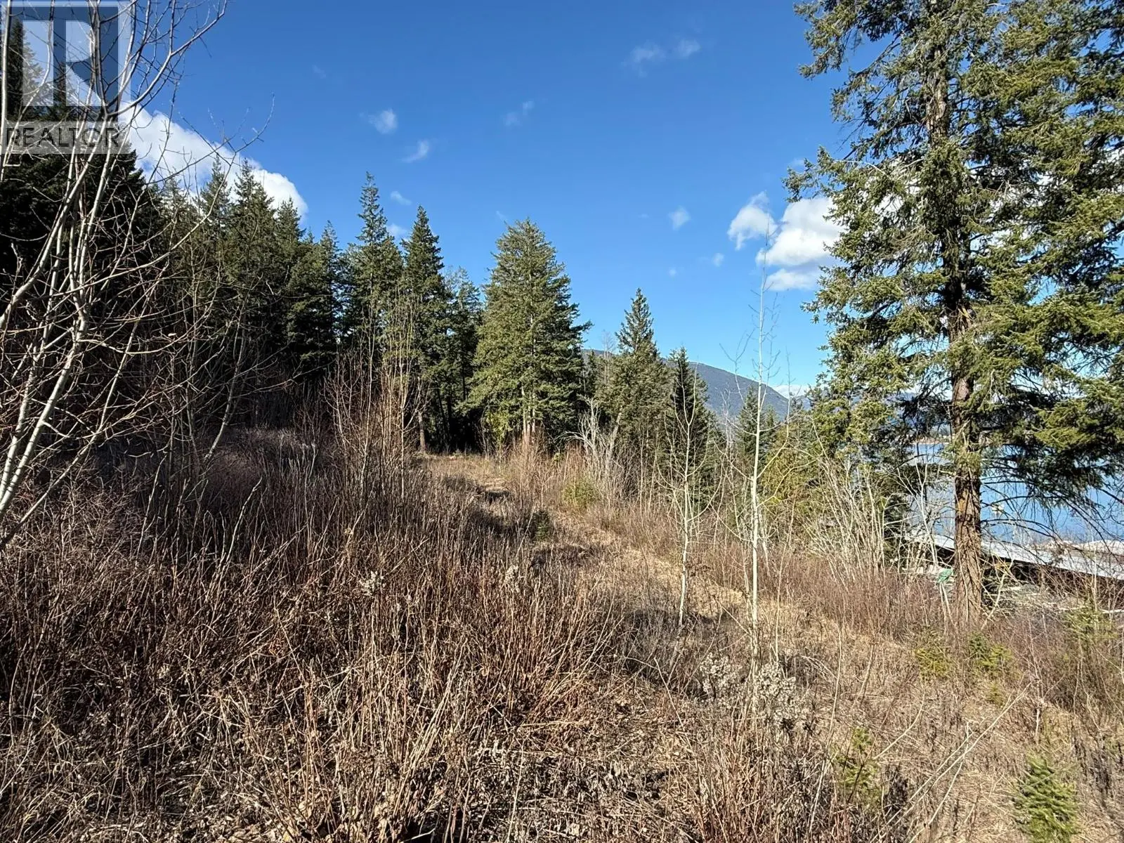 2230 Canoe Beach Drive Ne Lot# 3. Salmon Arm, British Columbia