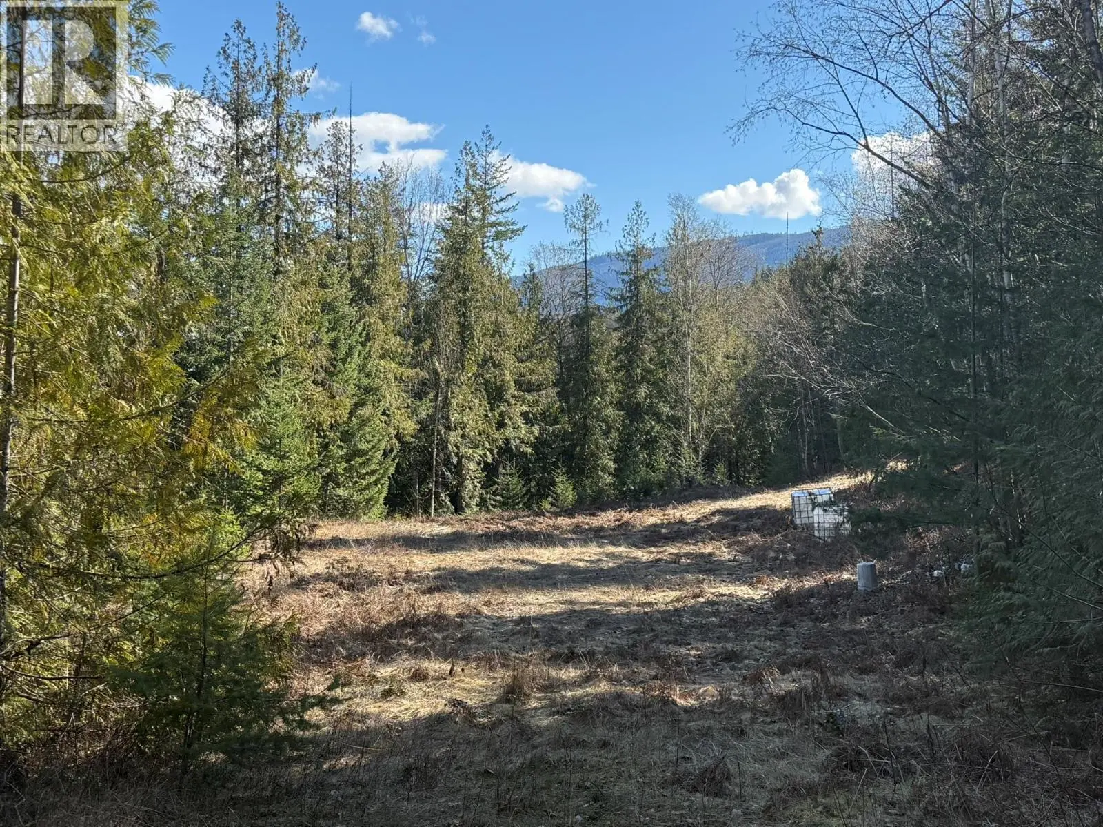 2230 Canoe Beach Drive Ne Lot# 3. Salmon Arm, British Columbia