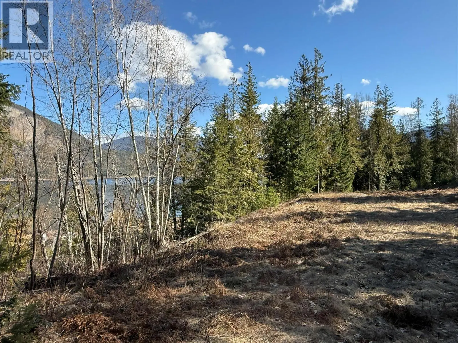 2230 Canoe Beach Drive Ne Lot# 3. Salmon Arm, British Columbia