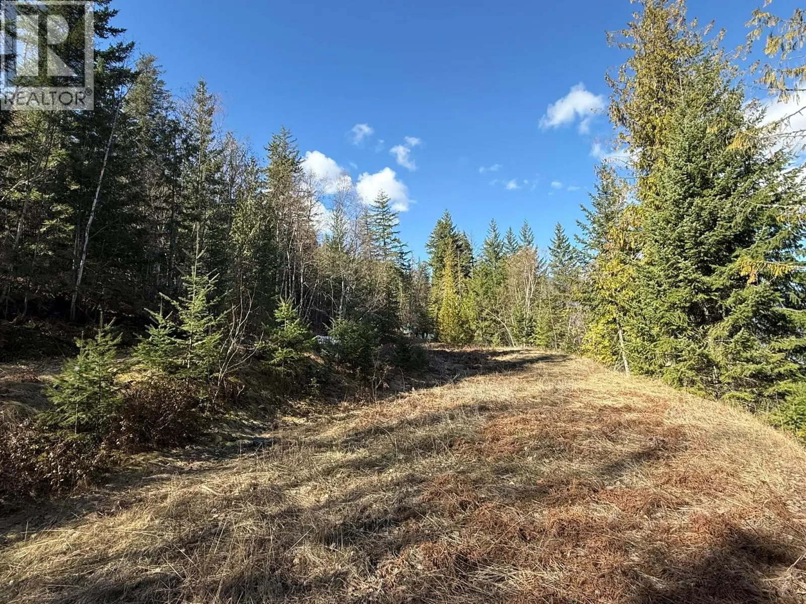 2230 Canoe Beach Drive Ne Lot# 3. Salmon Arm, British Columbia