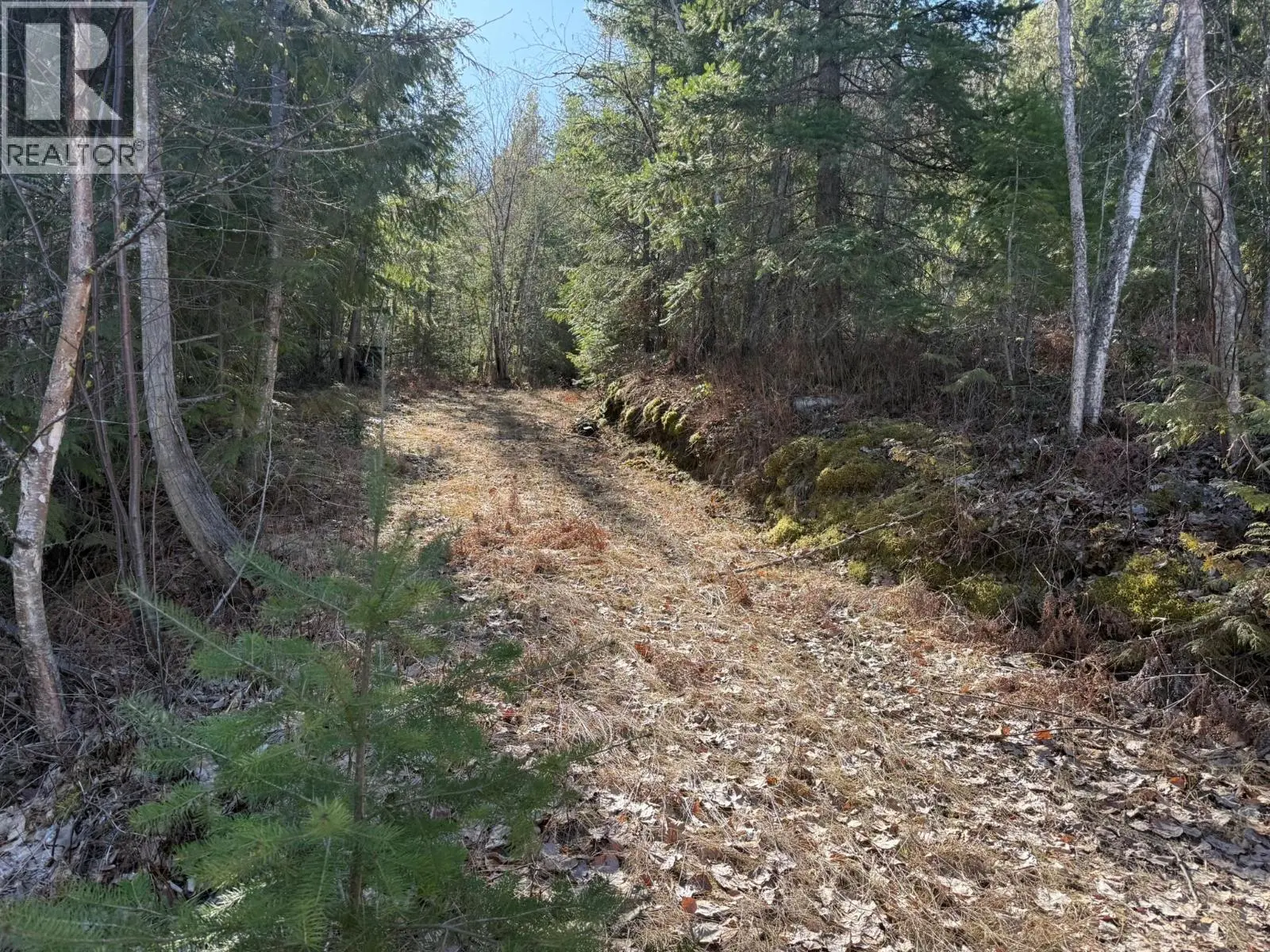 2230 Canoe Beach Drive Ne Lot# 3. Salmon Arm, British Columbia