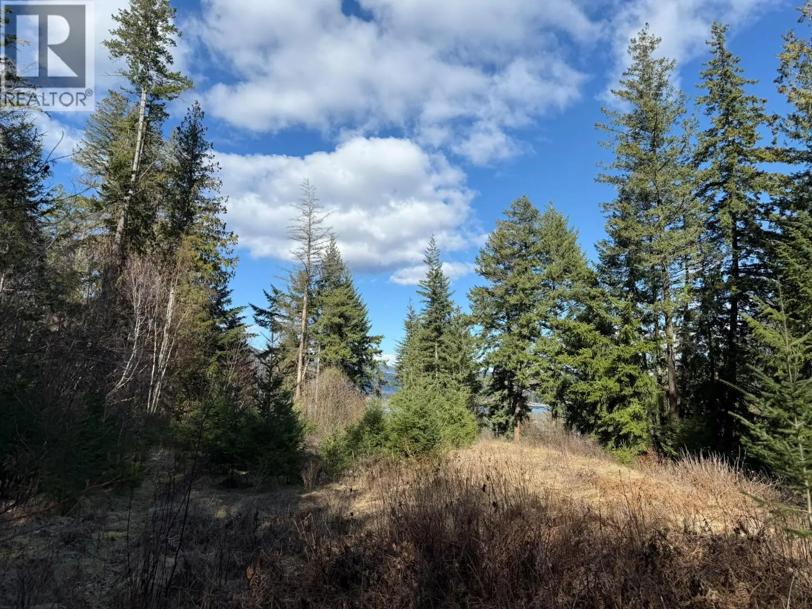 2230 Canoe Beach Drive Ne Lot# 3. Salmon Arm, British Columbia