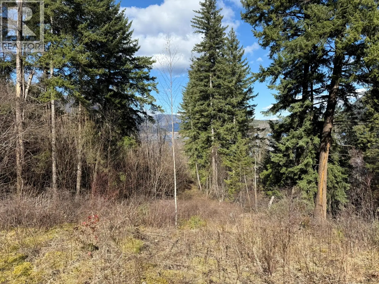 2230 Canoe Beach Drive Ne Lot# 3. Salmon Arm, British Columbia