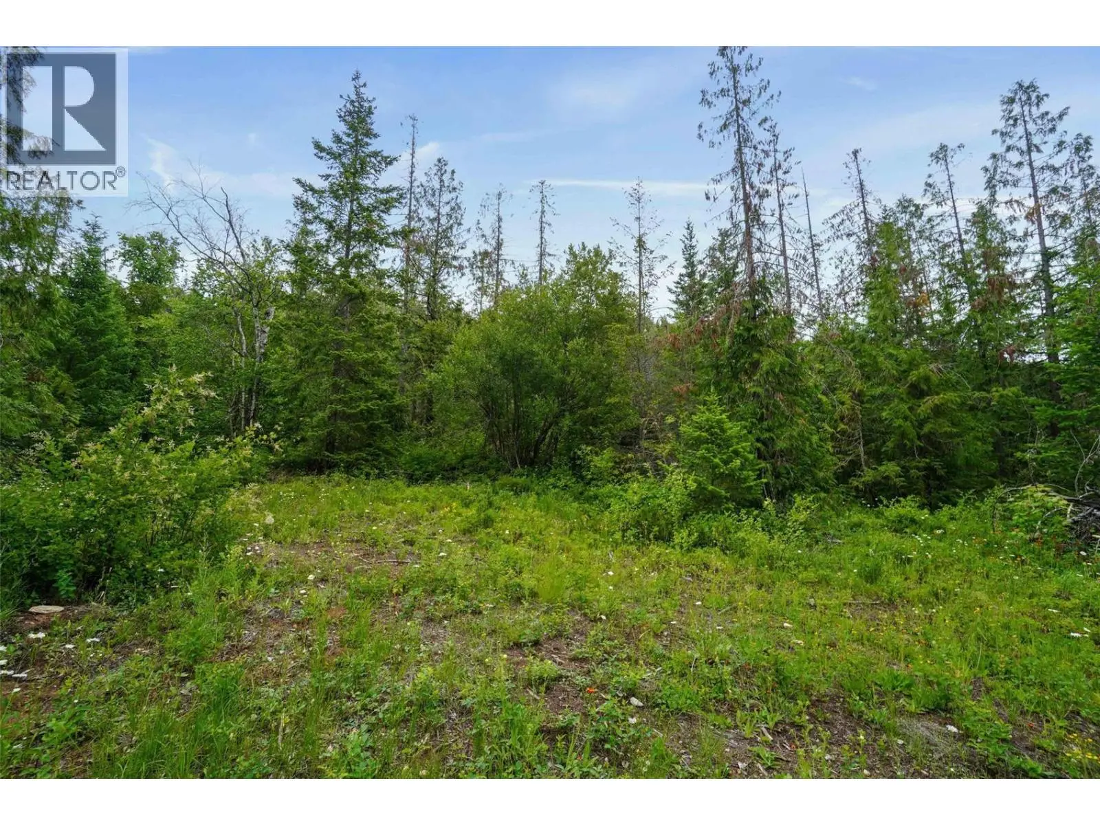 Ph 3 Tatlow Road Se Lot# 4. Salmon Arm, British Columbia