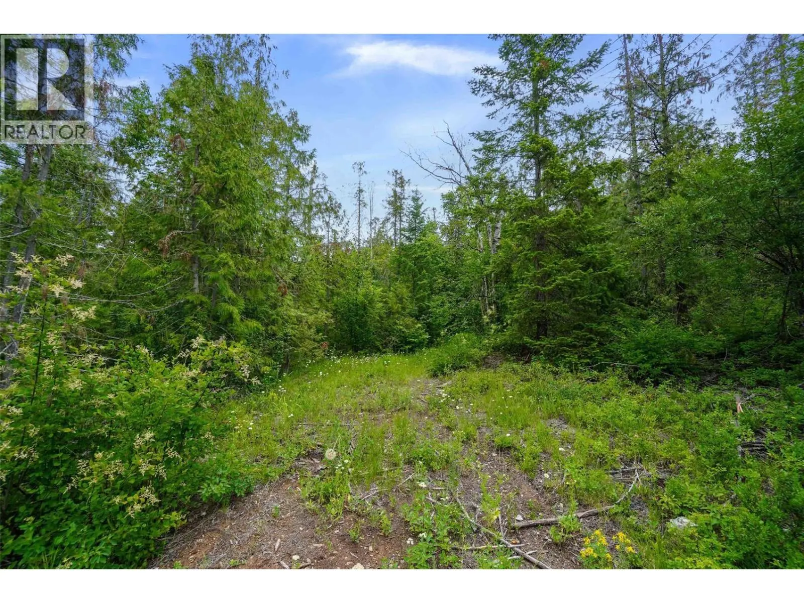 Ph 3 Tatlow Road Se Lot# 4. Salmon Arm, British Columbia