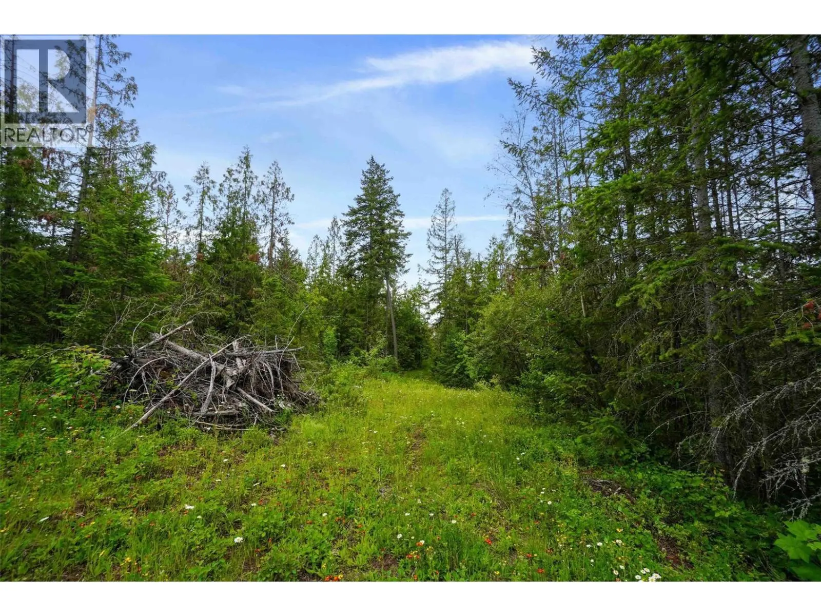 Ph 3 Tatlow Road Se Lot# 4. Salmon Arm, British Columbia