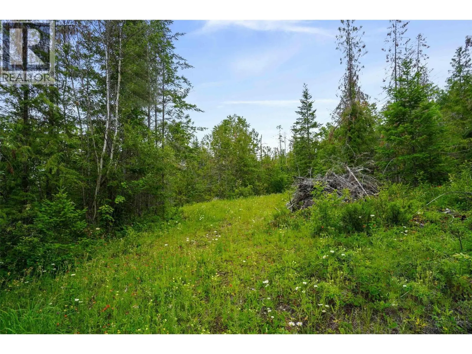 Ph 3 Tatlow Road Se Lot# 4. Salmon Arm, British Columbia