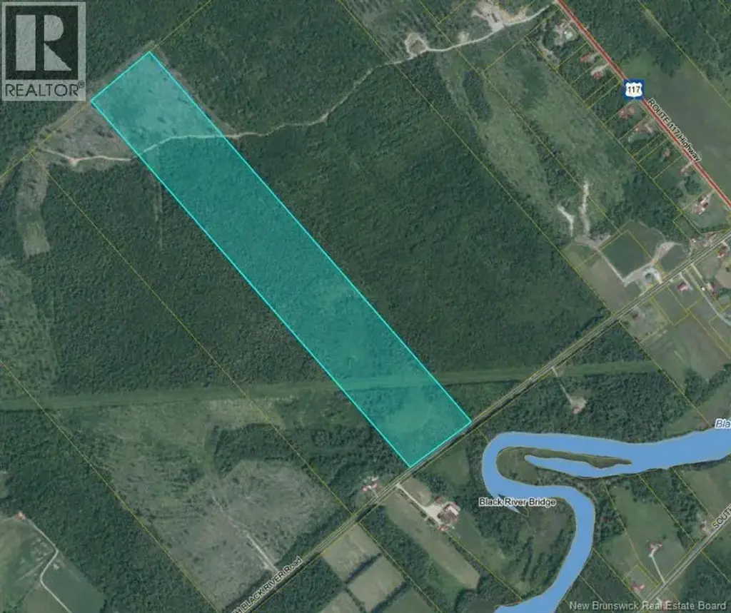 Woodland - North Black River Rd, Black River Bridge