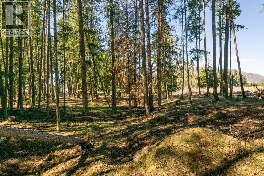 3789 Zinck Road. Scotch Creek, British Columbia