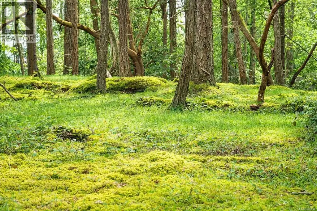 Lot 88 Sockeye Dr, Mudge Island