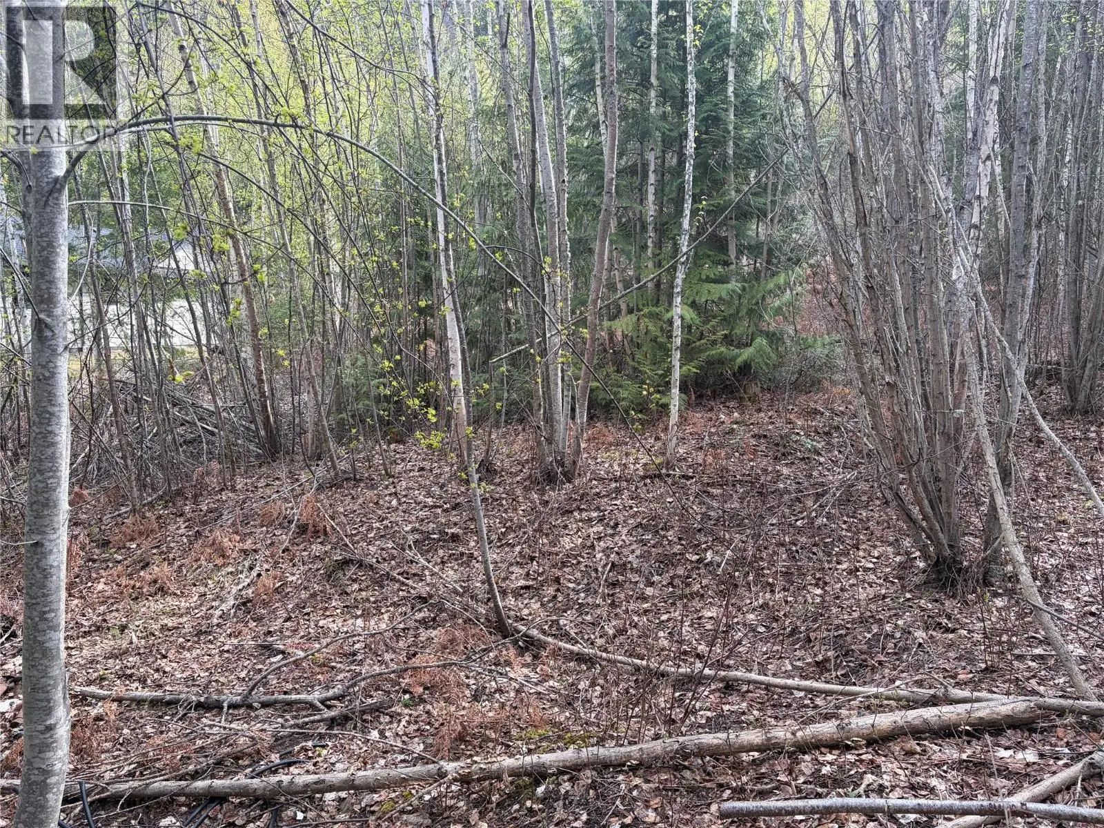 Lot 6 Mcbride Road. Blind Bay, British Columbia