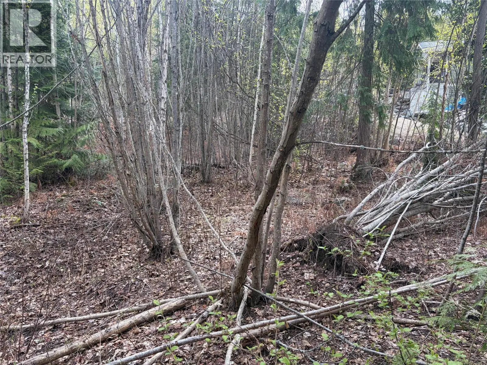 Lot 6 Mcbride Road. Blind Bay, British Columbia