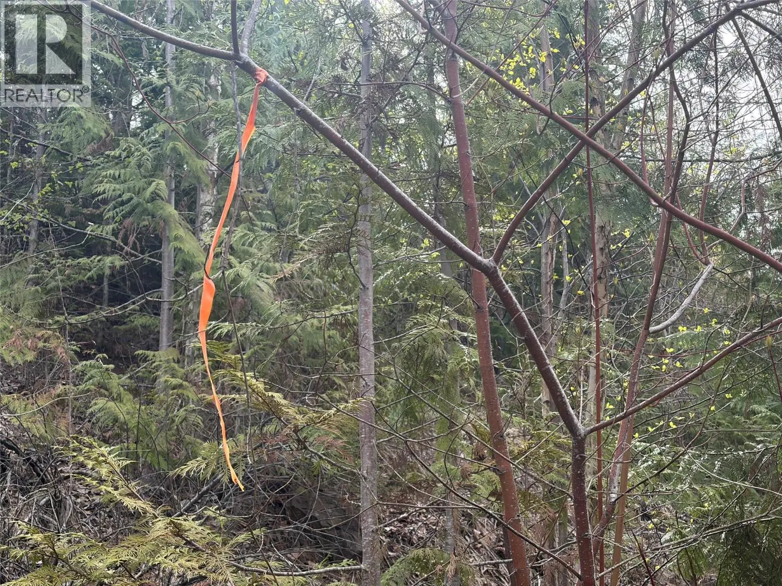 Lot 6 Mcbride Road. Blind Bay, British Columbia