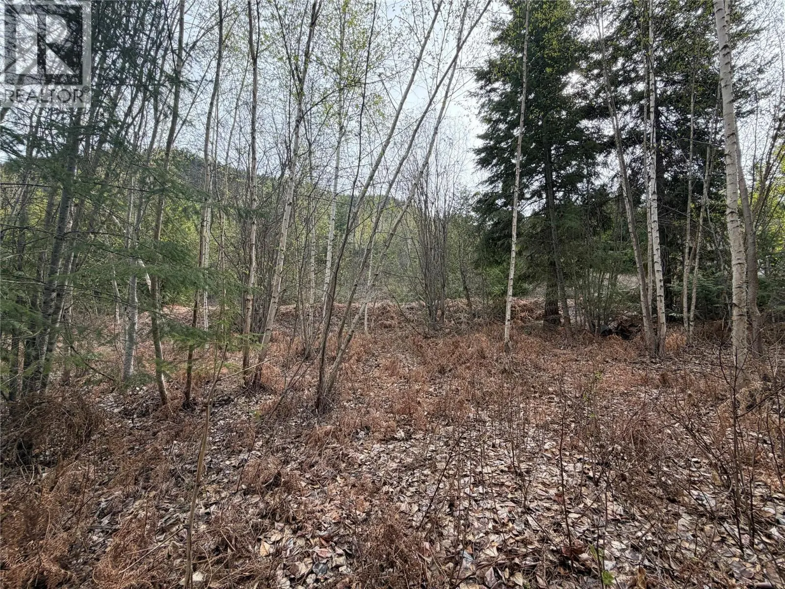 Lot 6 Mcbride Road. Blind Bay, British Columbia