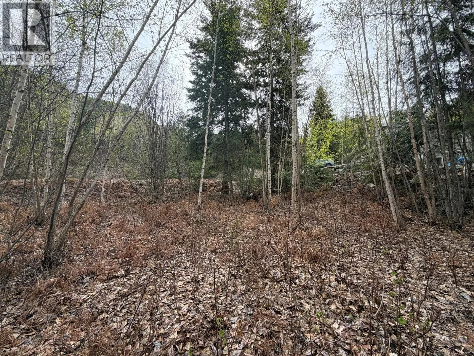 Lot 6 Mcbride Road. Blind Bay, British Columbia