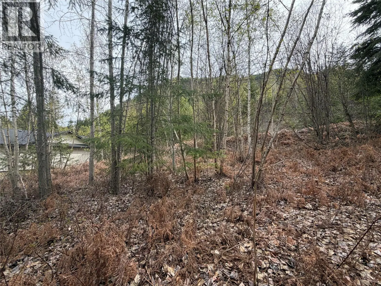 Lot 6 Mcbride Road. Blind Bay, British Columbia