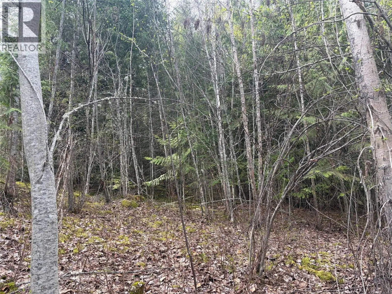 Lot 6 Mcbride Road. Blind Bay, British Columbia