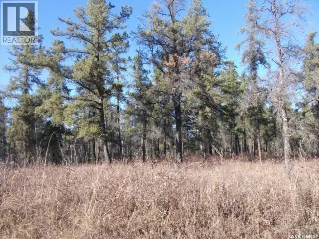 5-3 Lot 1.20 Acres, Hudson Bay Rm No. 394