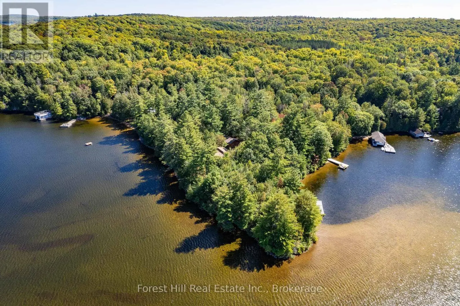 2 - 2991 Muskoka Rd 117 Road, Lake of Bays (Mclean)