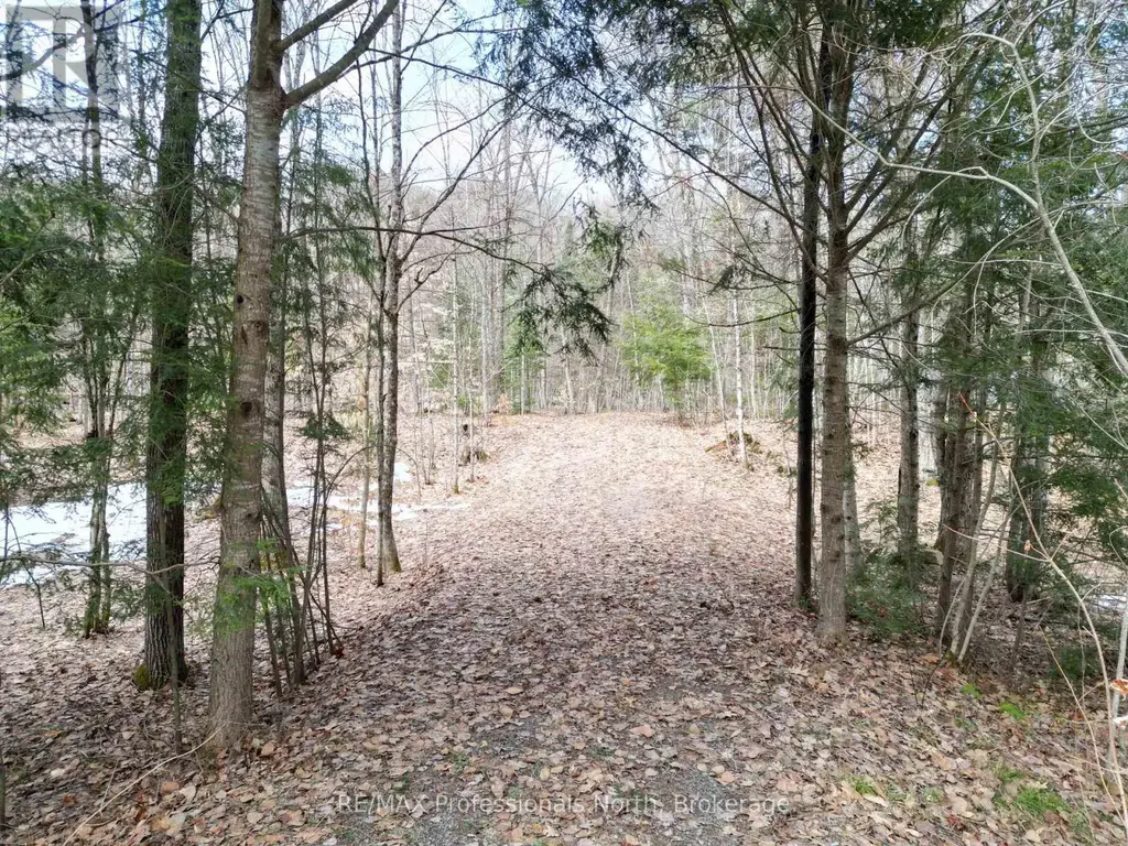 1231 Big Hawk Lake Road, Algonquin Highlands (Stanhope)
