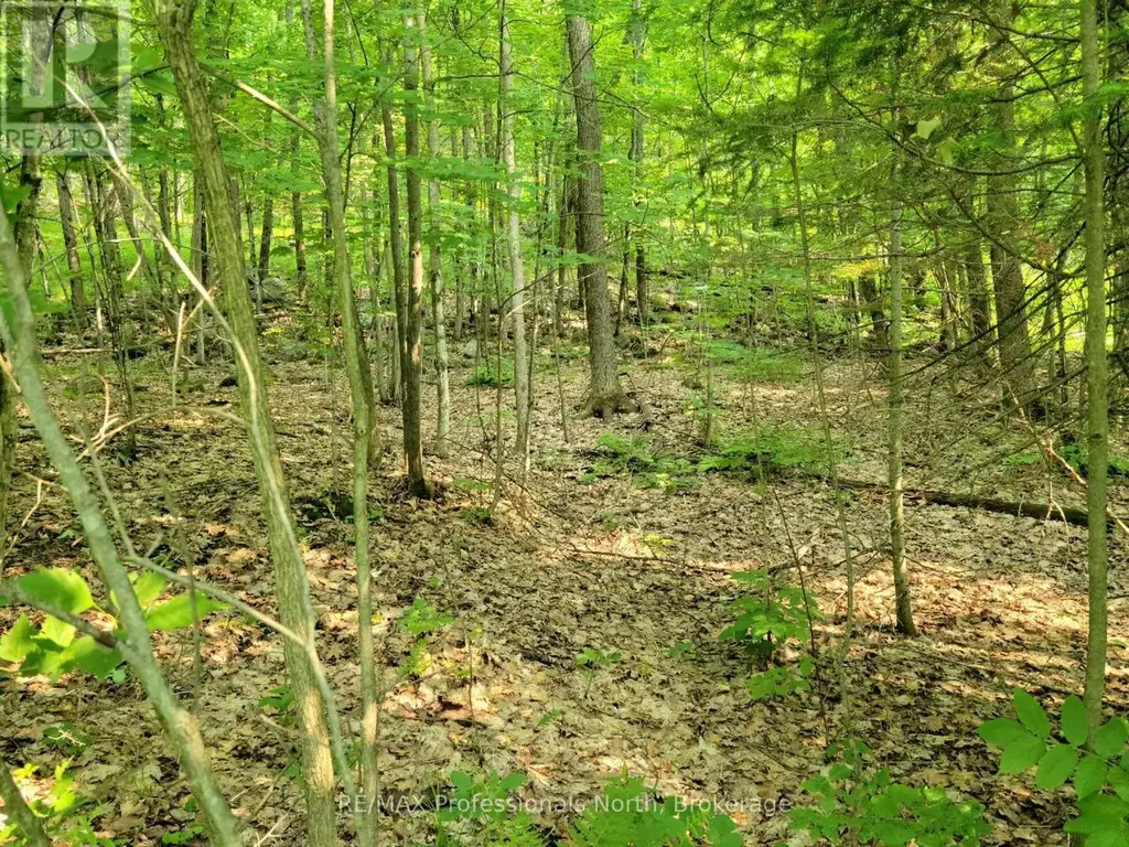 22 - 32 Mount Vernon Trail, Huntsville (Chaffey)