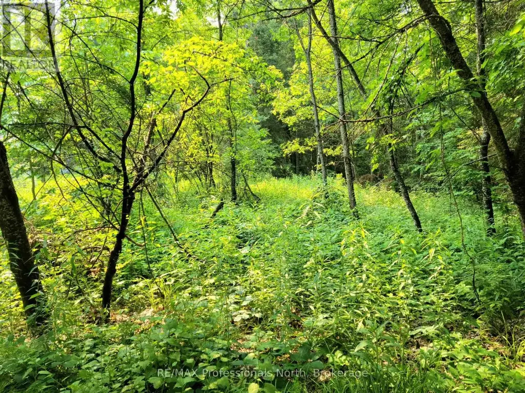 26 - 35 Mount Vernon Trail, Huntsville (Chaffey)
