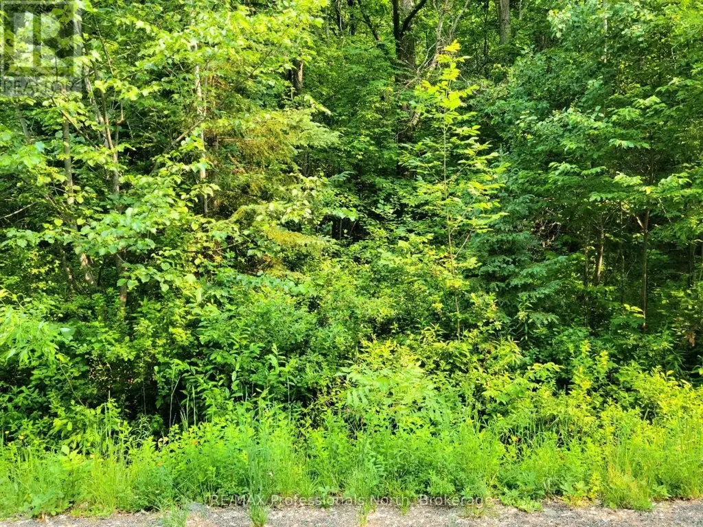 19 - 26 Mount Vernon Trail, Huntsville (Chaffey)