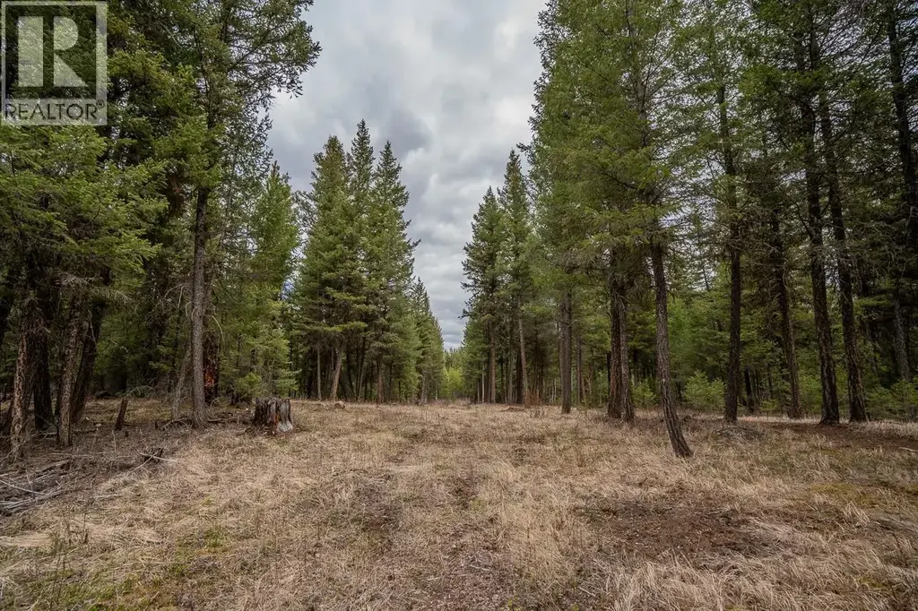 Lot 6 Park Place, Lac La Hache