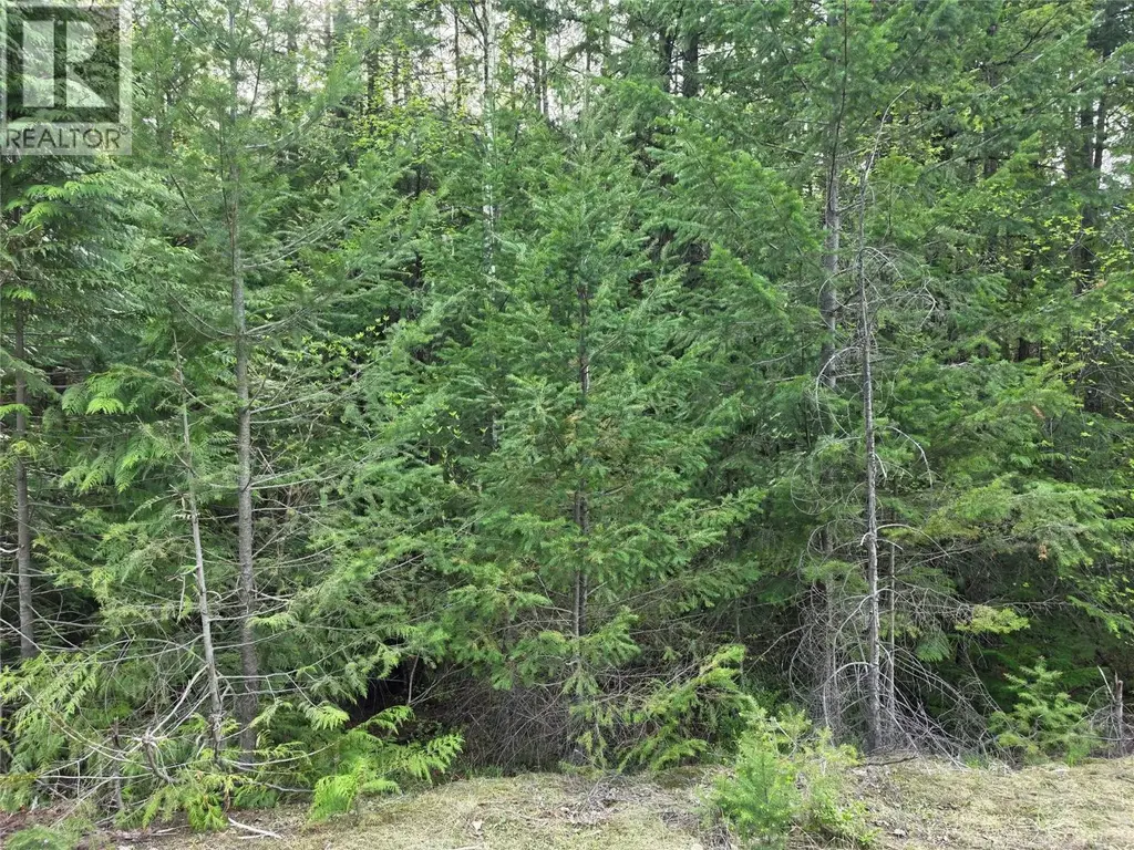 6 Highway, Slocan