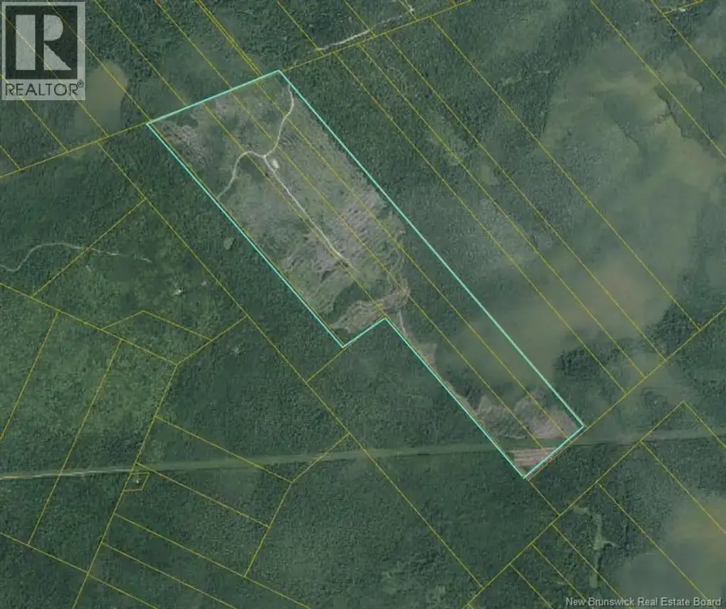 South Napan - 4 Interior Woodlot Parcels, Napan