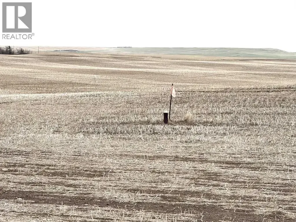 Township Road 194, Rural Vulcan County