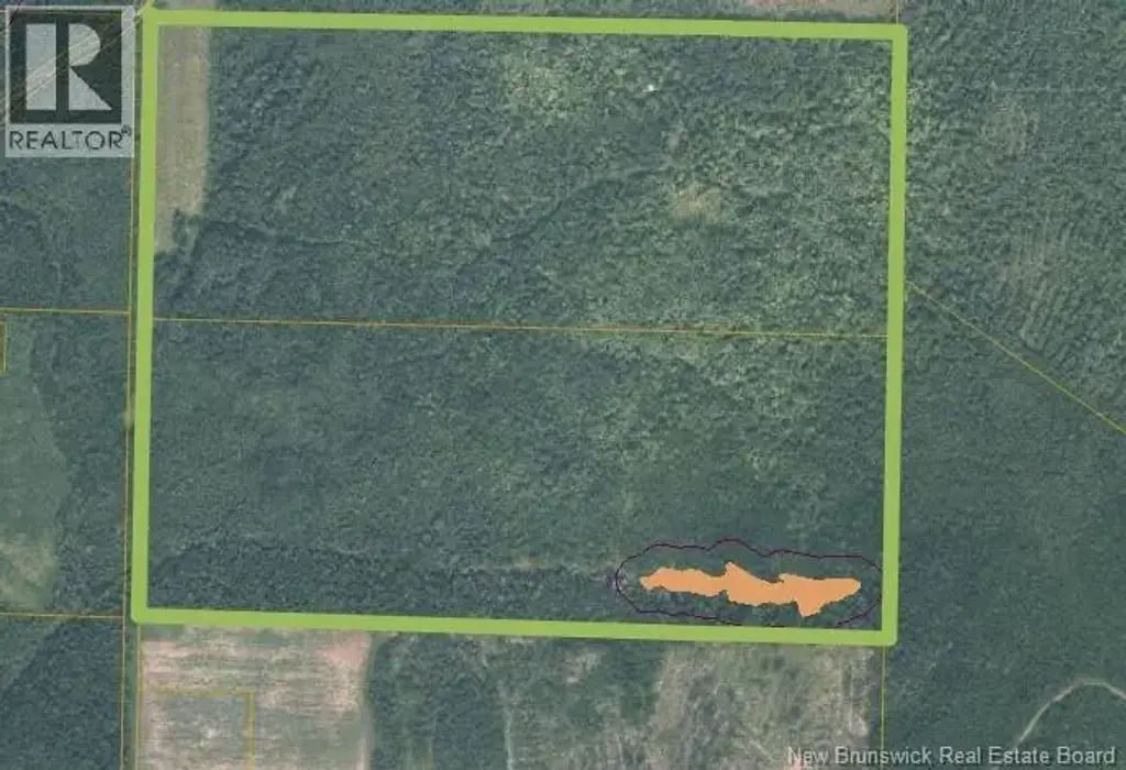 200 Acres Walker Road, South Tilley