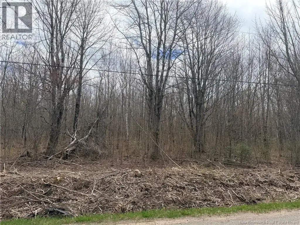Lot 83-2 Route 880, Havelock