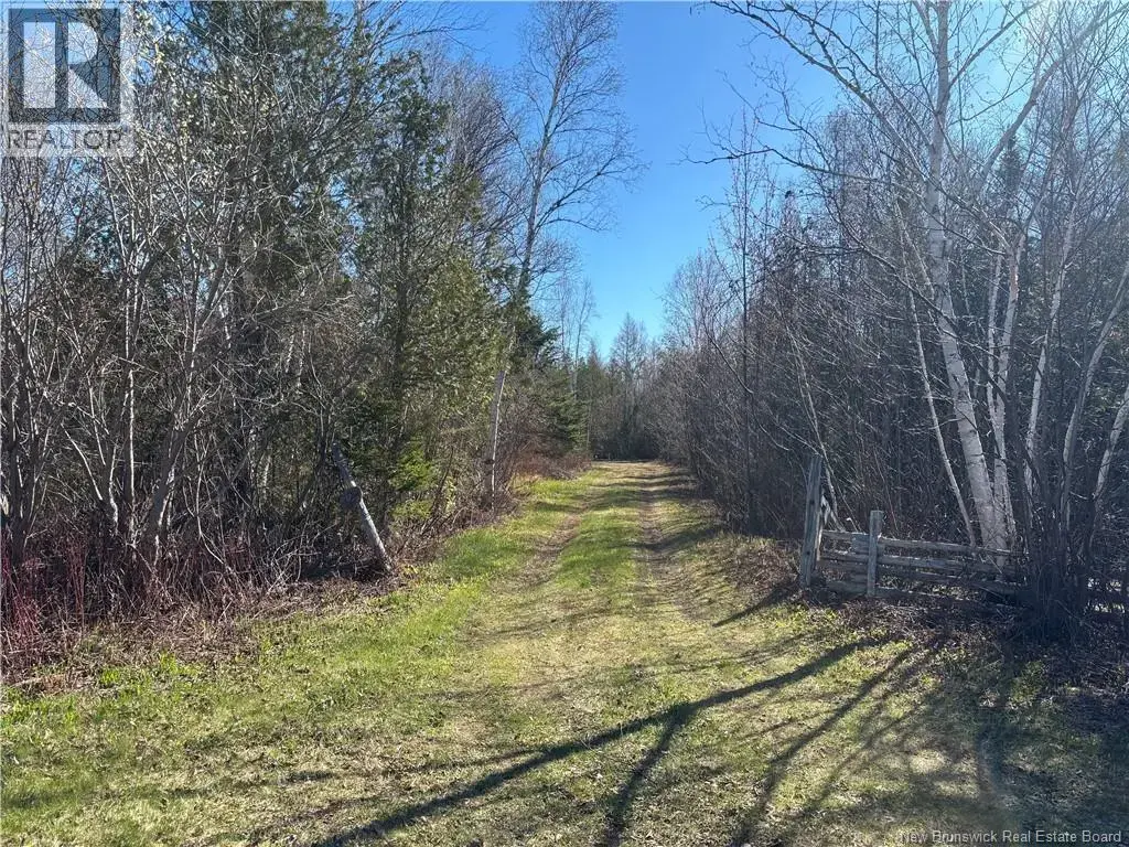 11.98 Acres Chemin Tremblay, Tremblay