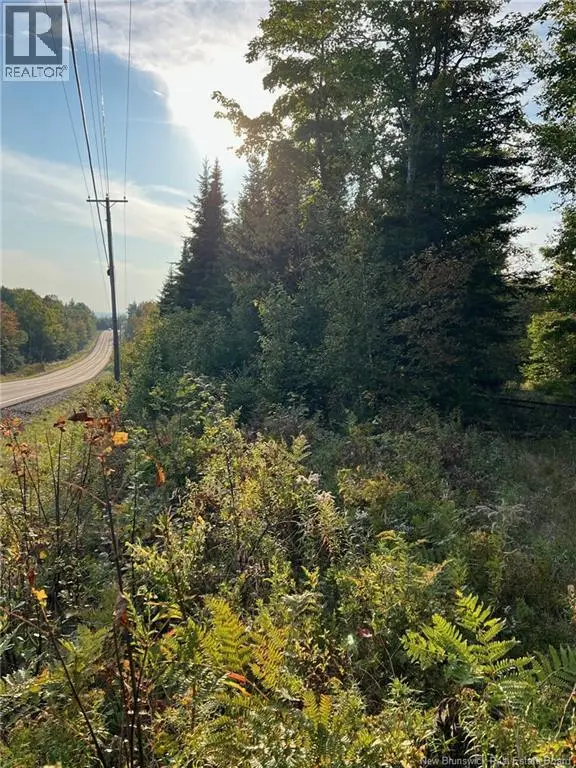 Photo of Listing #NB139541